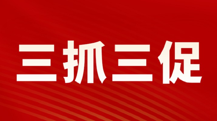 三抓三促进行时丨线上买球入口(中国大陆)官方网站集团召开重点项目调度会